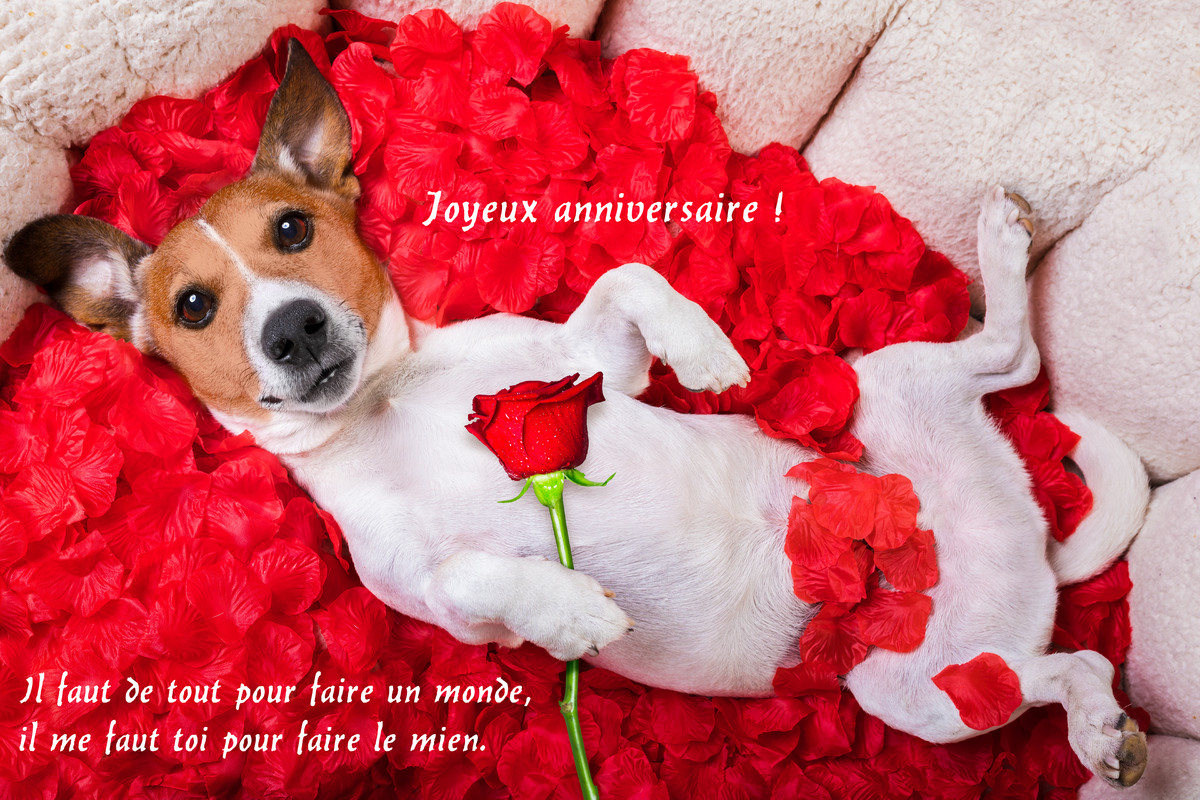 Carte d'anniversaire sincère pour une amie avec un texte émouvant