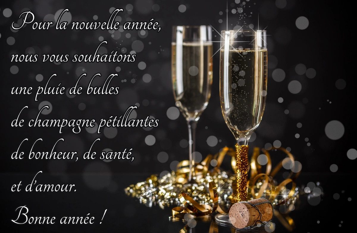 Pour la nouvelle année, 
nous vous souhaitons 
une pluie de bulles 
de champagne pétillantes 
de bonheur, de santé, 
et d'amour.
Bonne année !