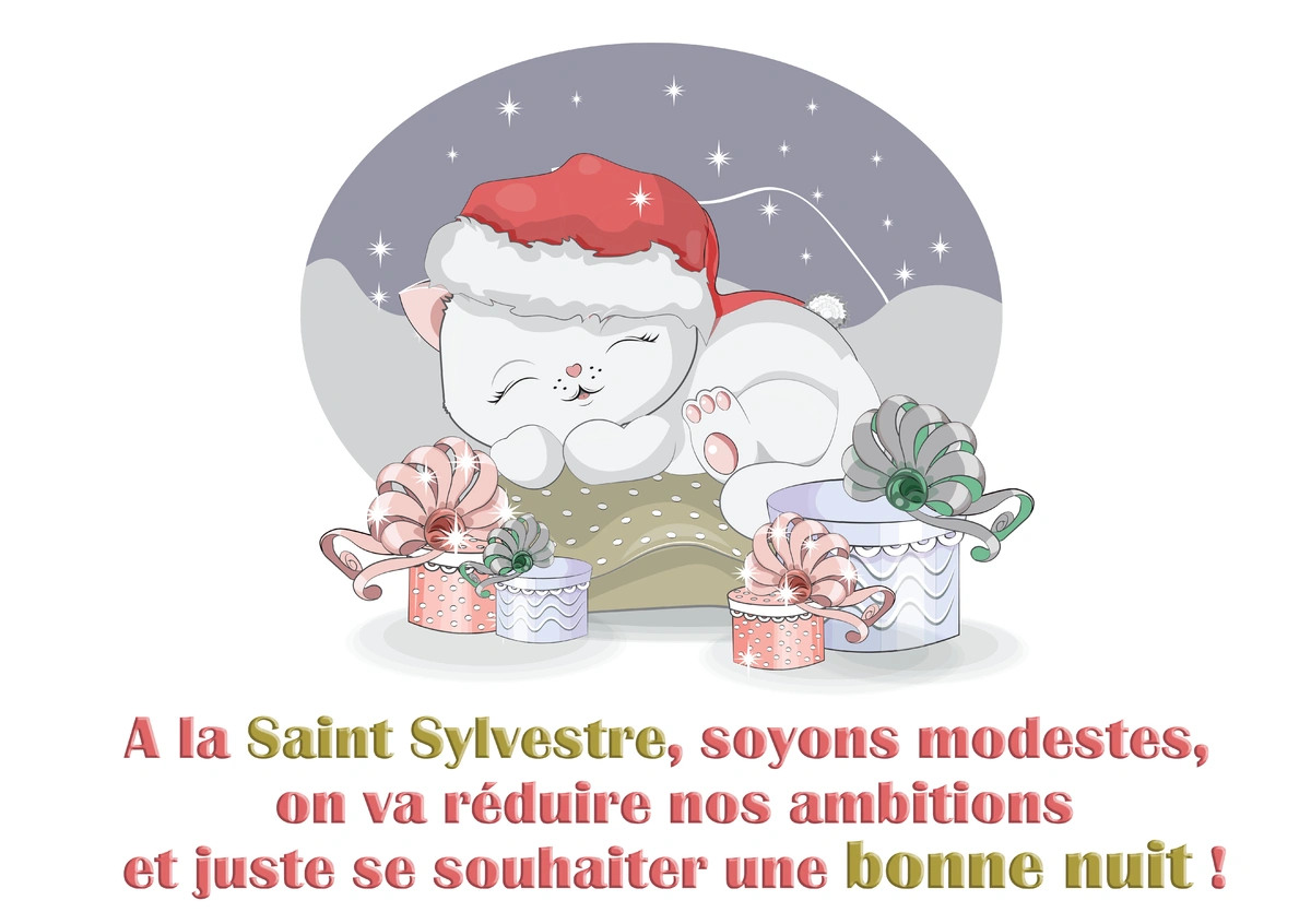 A la Saint Sylvestre, soyons modestes, 
on va réduire nos ambitions
et juste se souhaiter une bonne nuit !