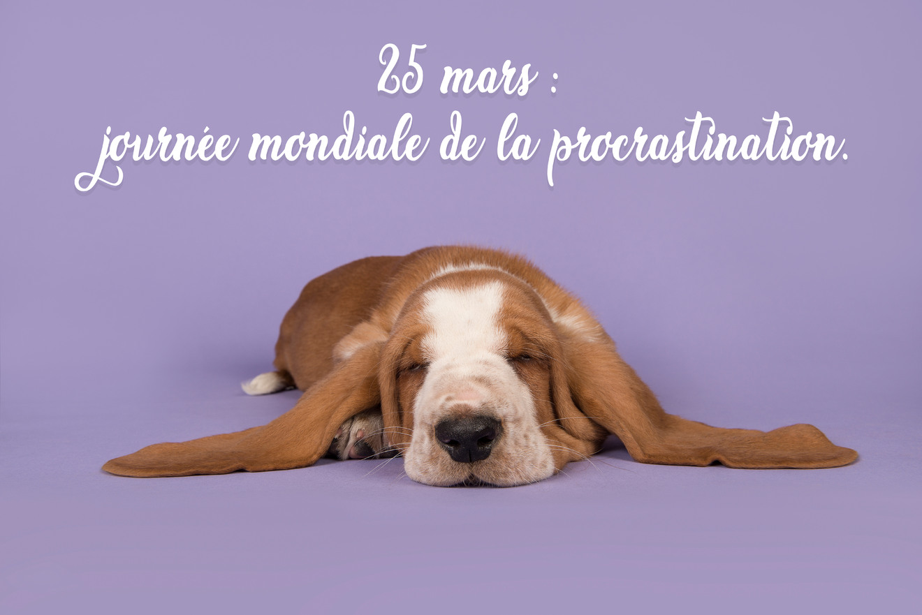 25 mars : journée mondiale de la procrastination.