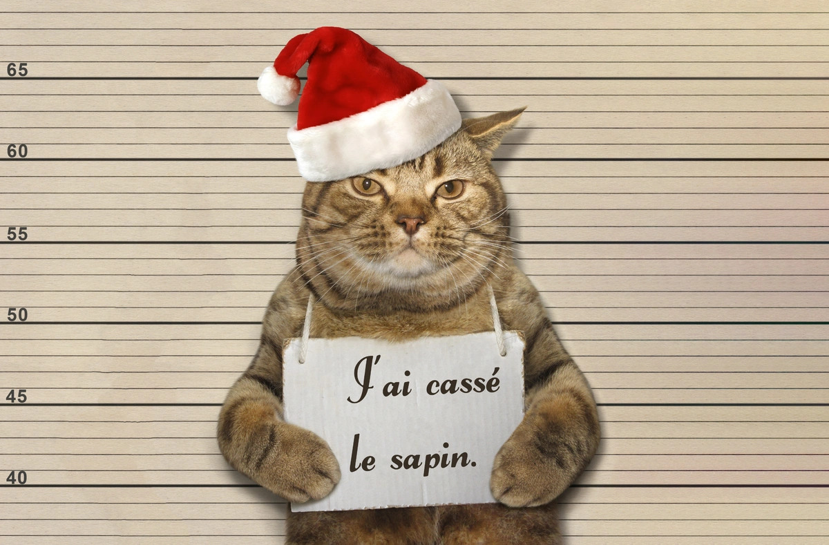 Cartes Virtuelles Humour Chat Noel Sapin Joliecarte