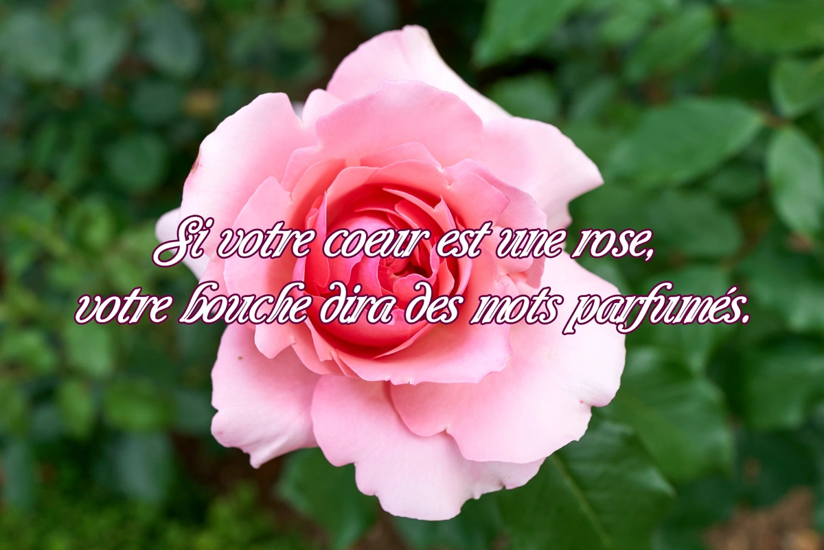 Si votre coeur est une rose, vous bouche dira des mots parfumés.