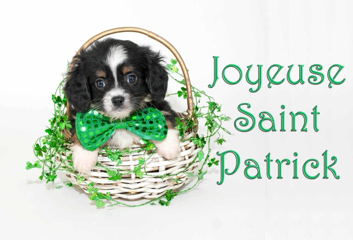 Joyeuse Saint Patrick