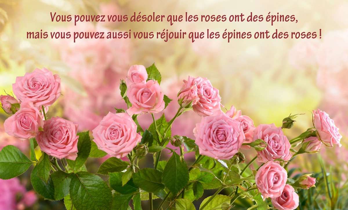 Vous pouvez vous désoler que les roses ont des épines, mais vous pouvez aussi vous réjouir que les épines ont des roses ! 